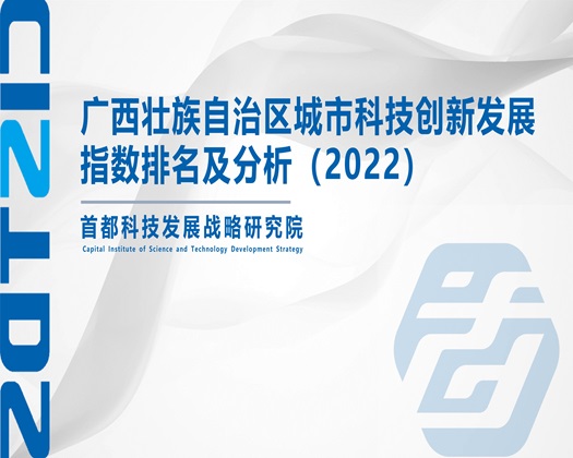 美女洞洞流白浆【成果发布】广西壮族自治区城市科技创新发展指数排名及分析（2022）